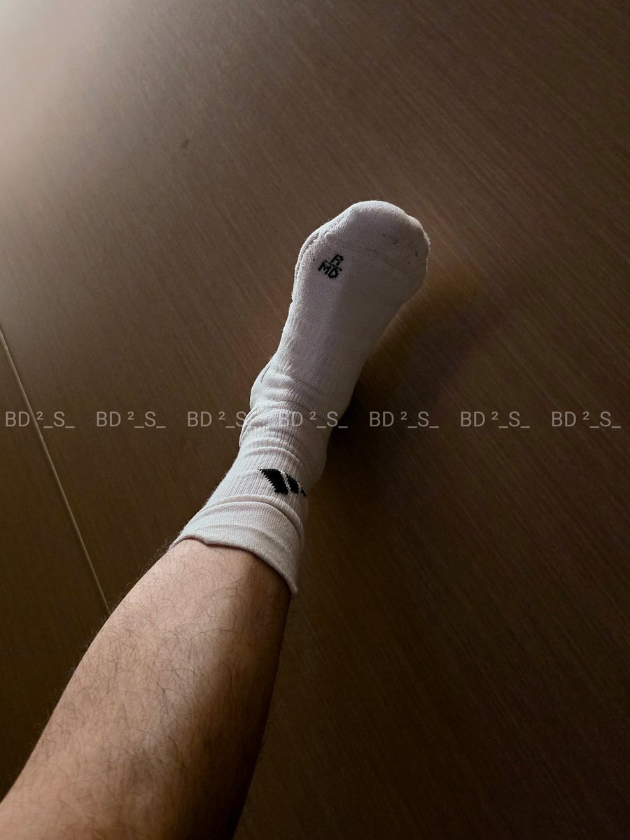 BD ²_ S _ tweet media