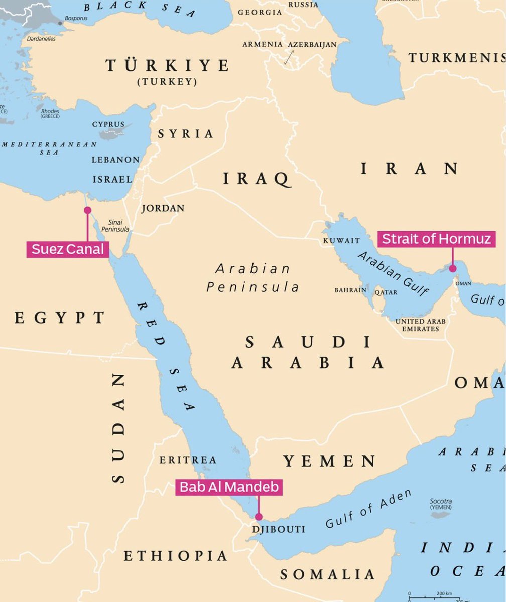Visegrád 24 tweet media