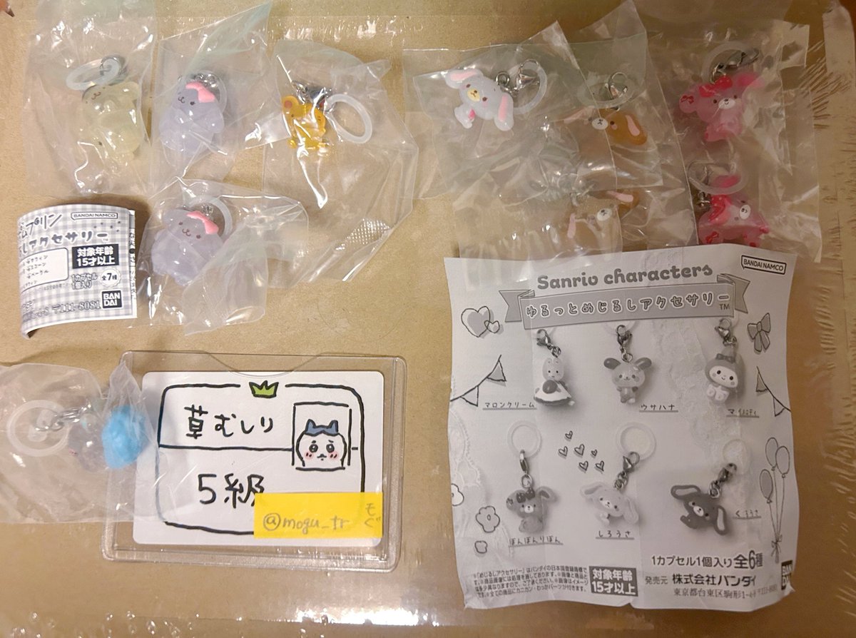 もぐ☀️ tweet media