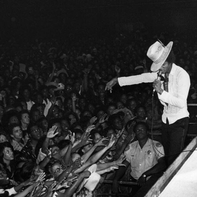 CatDance tweet media