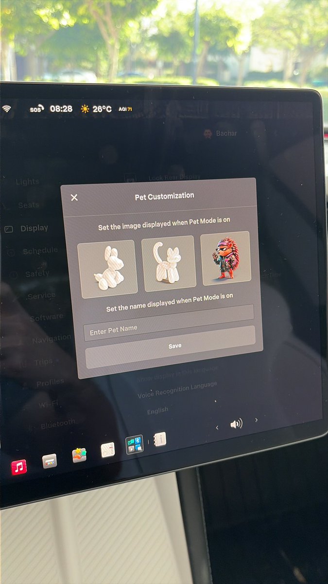 Nic Cruz Patane tweet media
