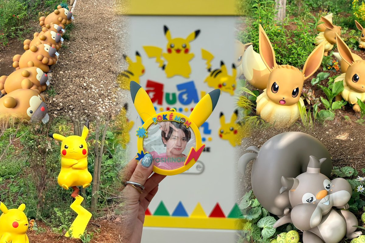 ユ キ さ ん🥦 tweet media