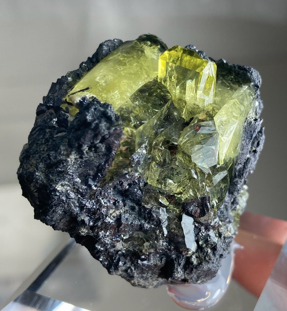 メタルと石が地球を救う tweet media