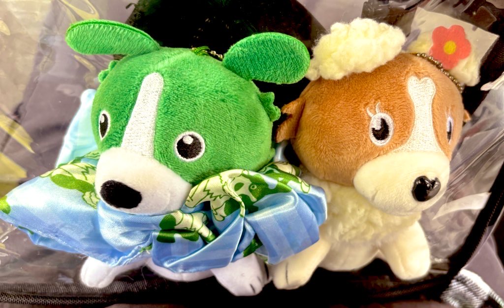 だっきー⭐️🥦 tweet media