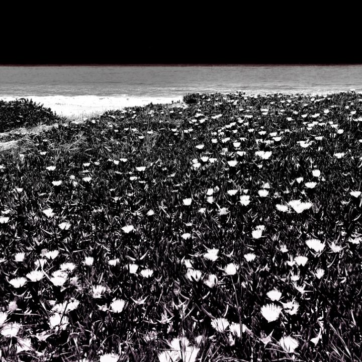 Art of the Day! "Neo Skies 3 of 5". Buy at: ArtPal.com/brianleebender…