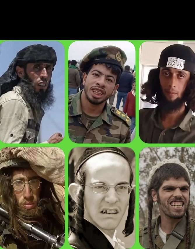 Humanitarian tweet media