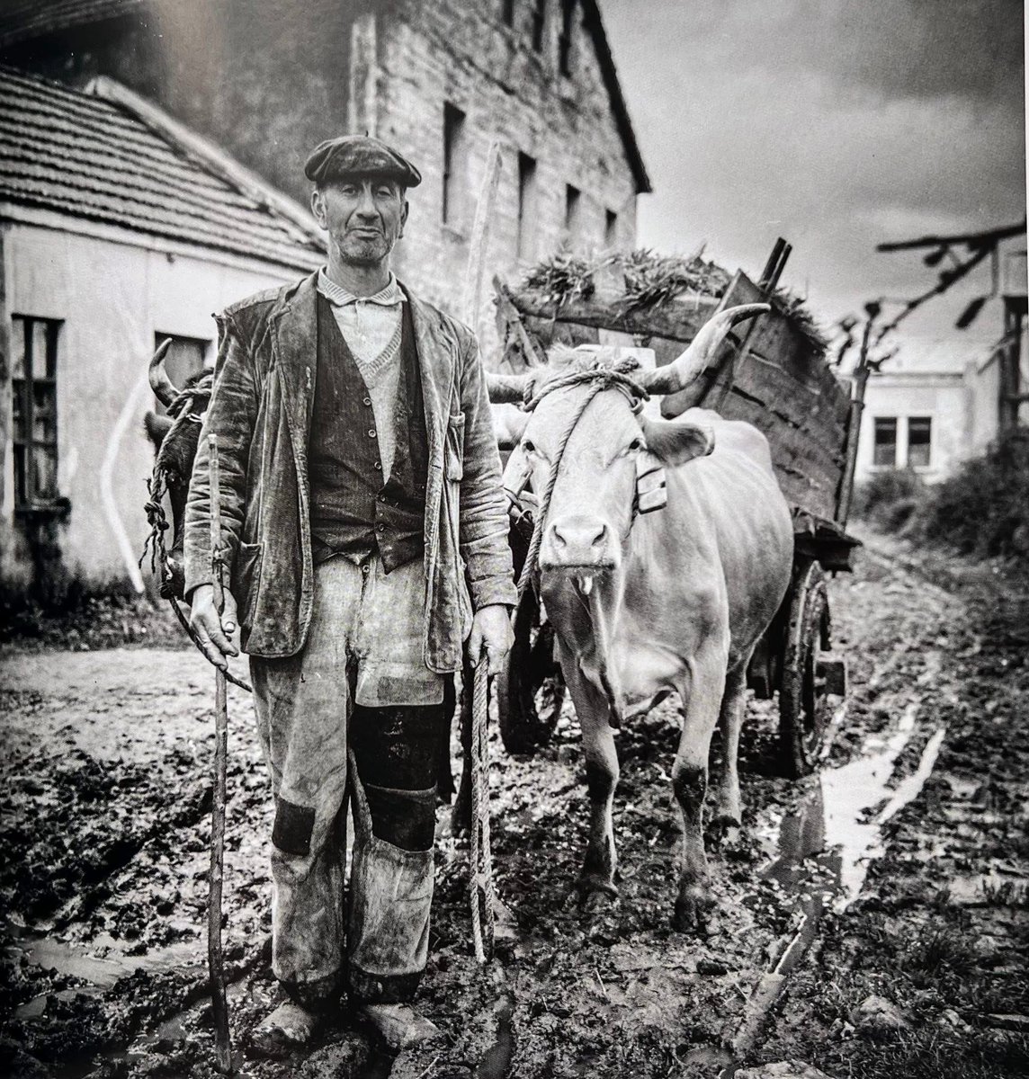 Santiago Garrido tweet media