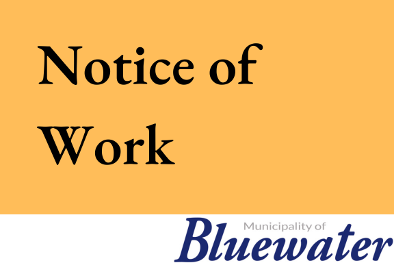 BluewaterOntario tweet media