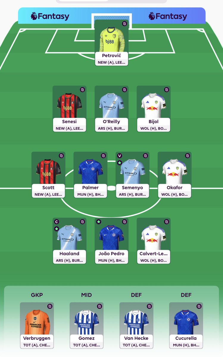 FPL Rookie tweet media