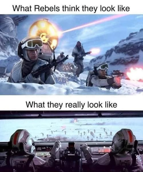 Wookie Burgers tweet media