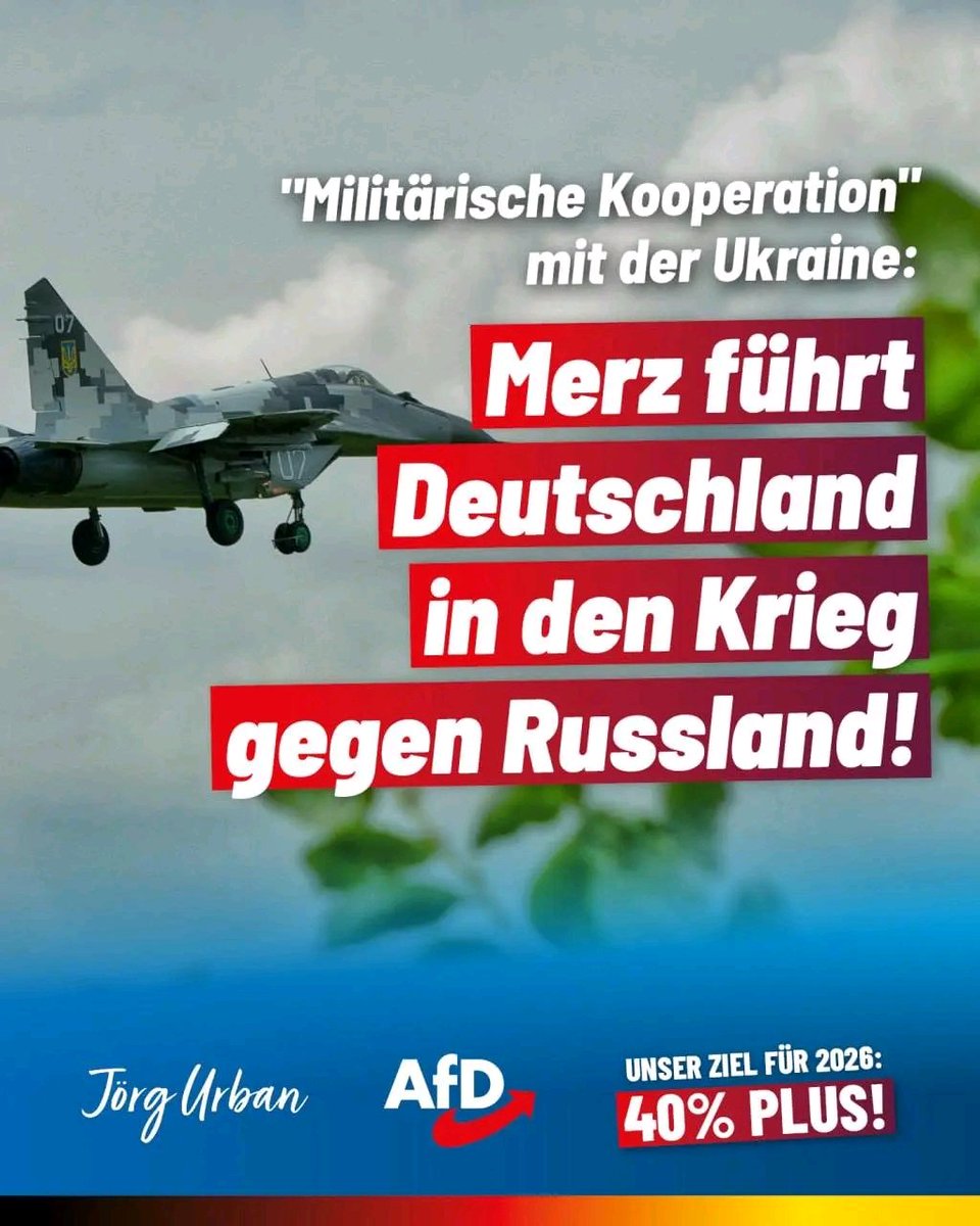 Daniel Vollmer🇩🇪💙 tweet media