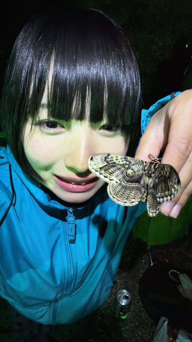 ゲム式 tweet media