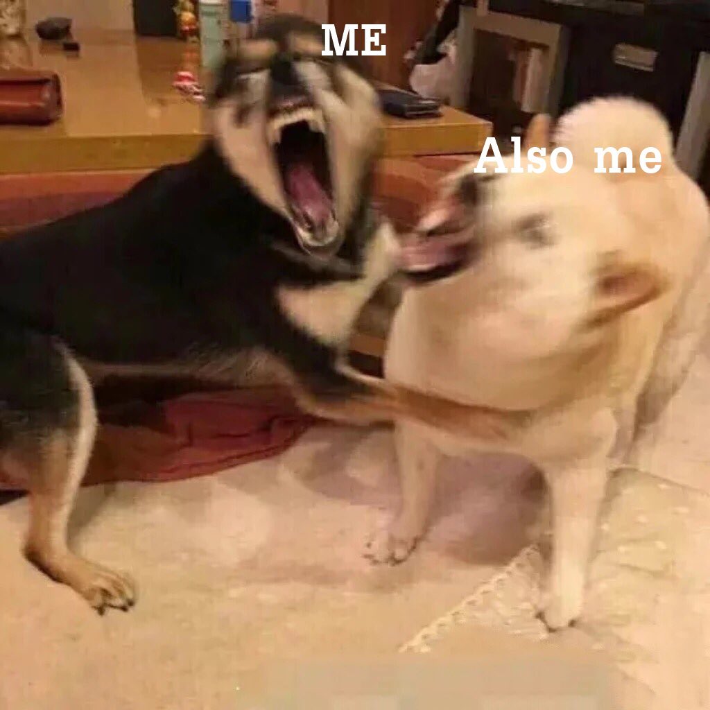 𝐬𝐮𝐧𝐧𝐲 യ *◞🏊 tweet media