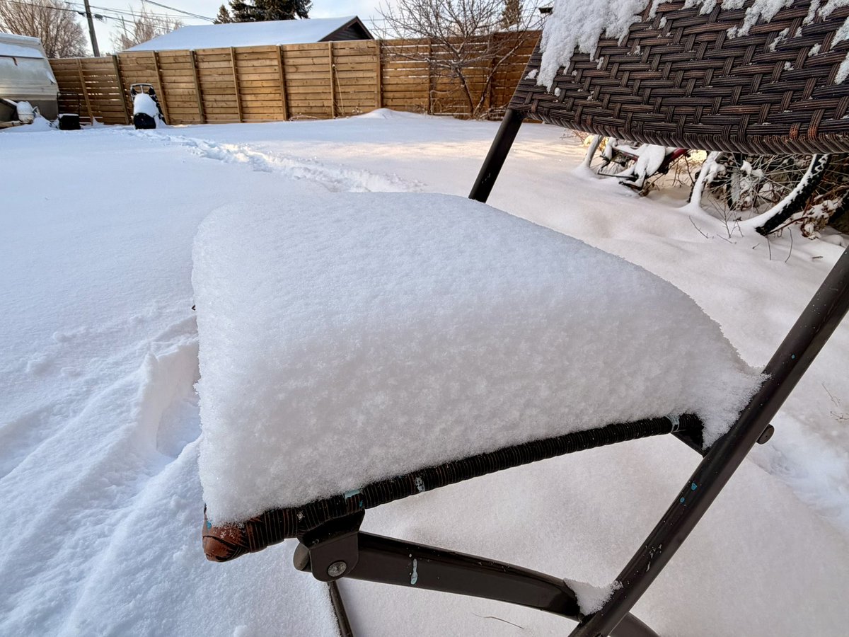 FlatlanderHank's tweet image. We got 16cm of #snow at Wilkie SK yesterday, our largest 1-day snowfall of the entire winter here, as it turns out! 

#skstorm