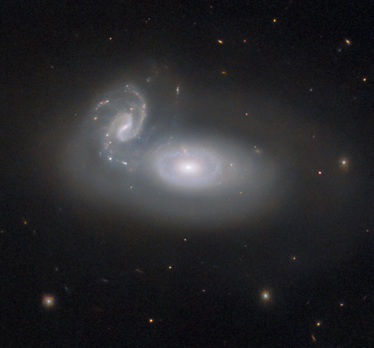 Mario_Livio's tweet photo. This @NASAHubble image depicts the cosmic tangle that is MCG+05-31-045, a pair of interacting galaxies located about 390 million light-years away and a part of the so-called Coma galaxy cluster. https://t.co/0MinDlOOsW