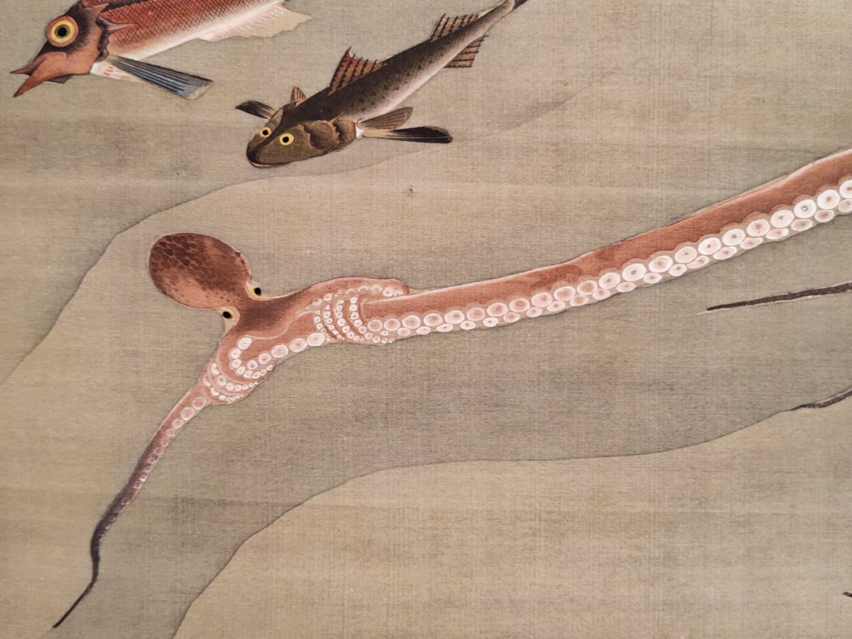 黒織部 tweet media