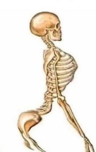 🌸LOLLIPOP🐹 ₍՞・˔・՞₎ tweet media