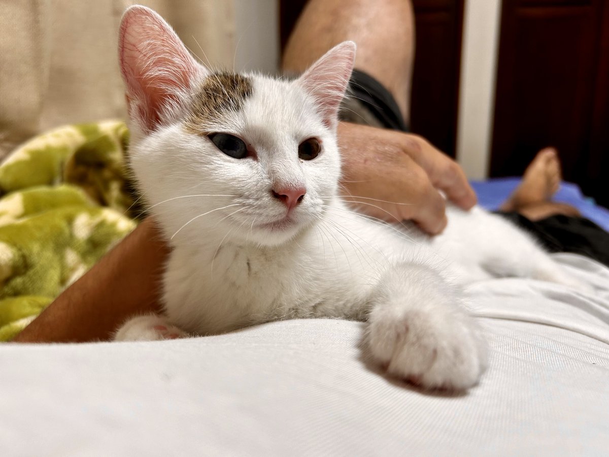 篠原正明 tweet media