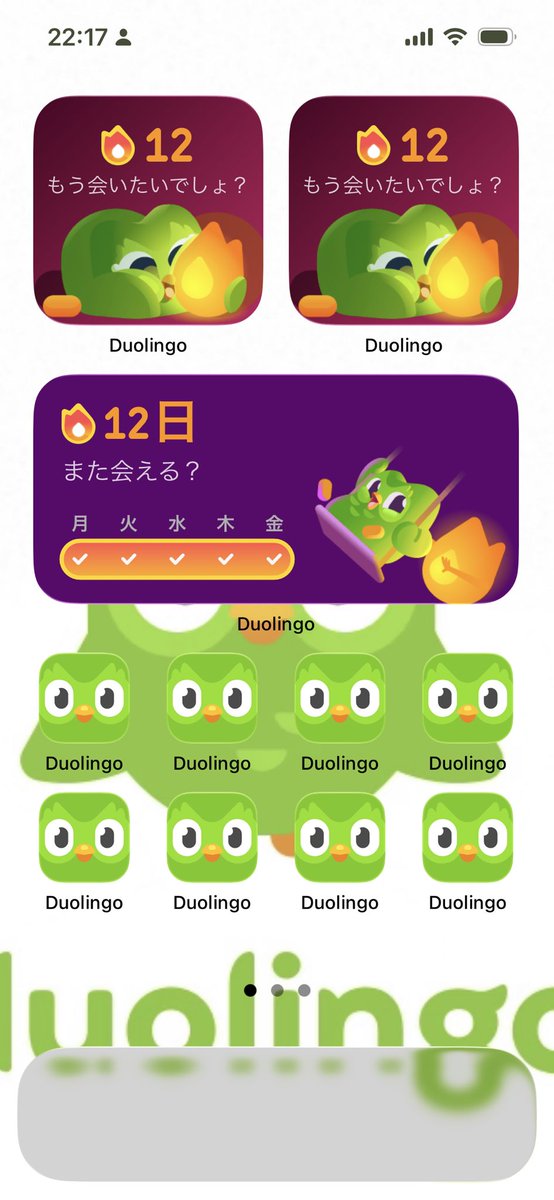 Duolingo(デュオリンゴ) | 日本公式🇯🇵 (@Duolingo_Japan) / Posts / X