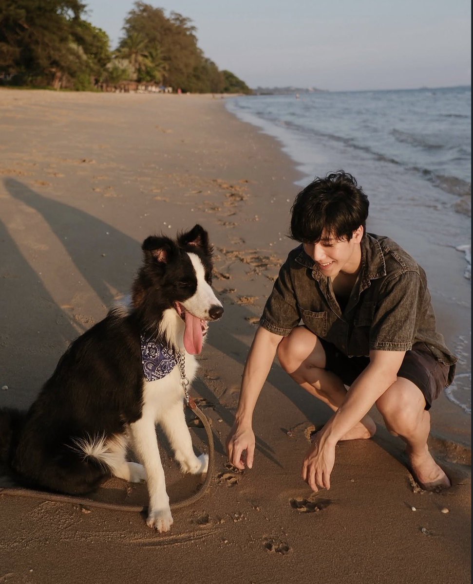 Sm;)eYims689🌻🍀🌳 tweet media