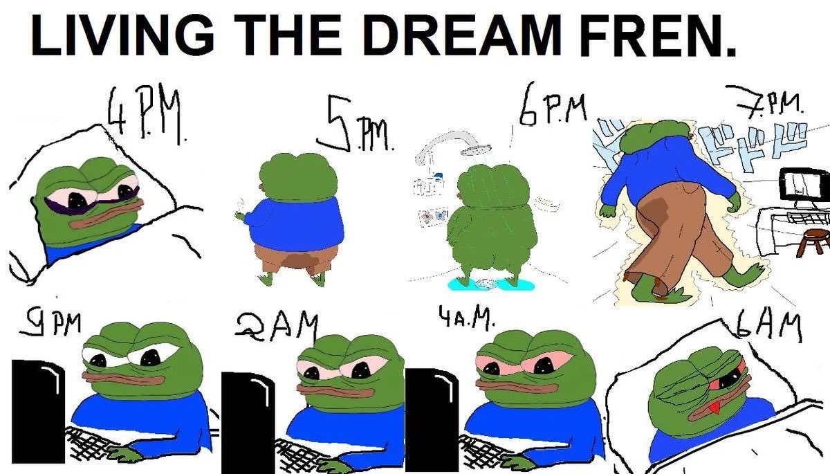 Mr.dirtySanchez tweet media