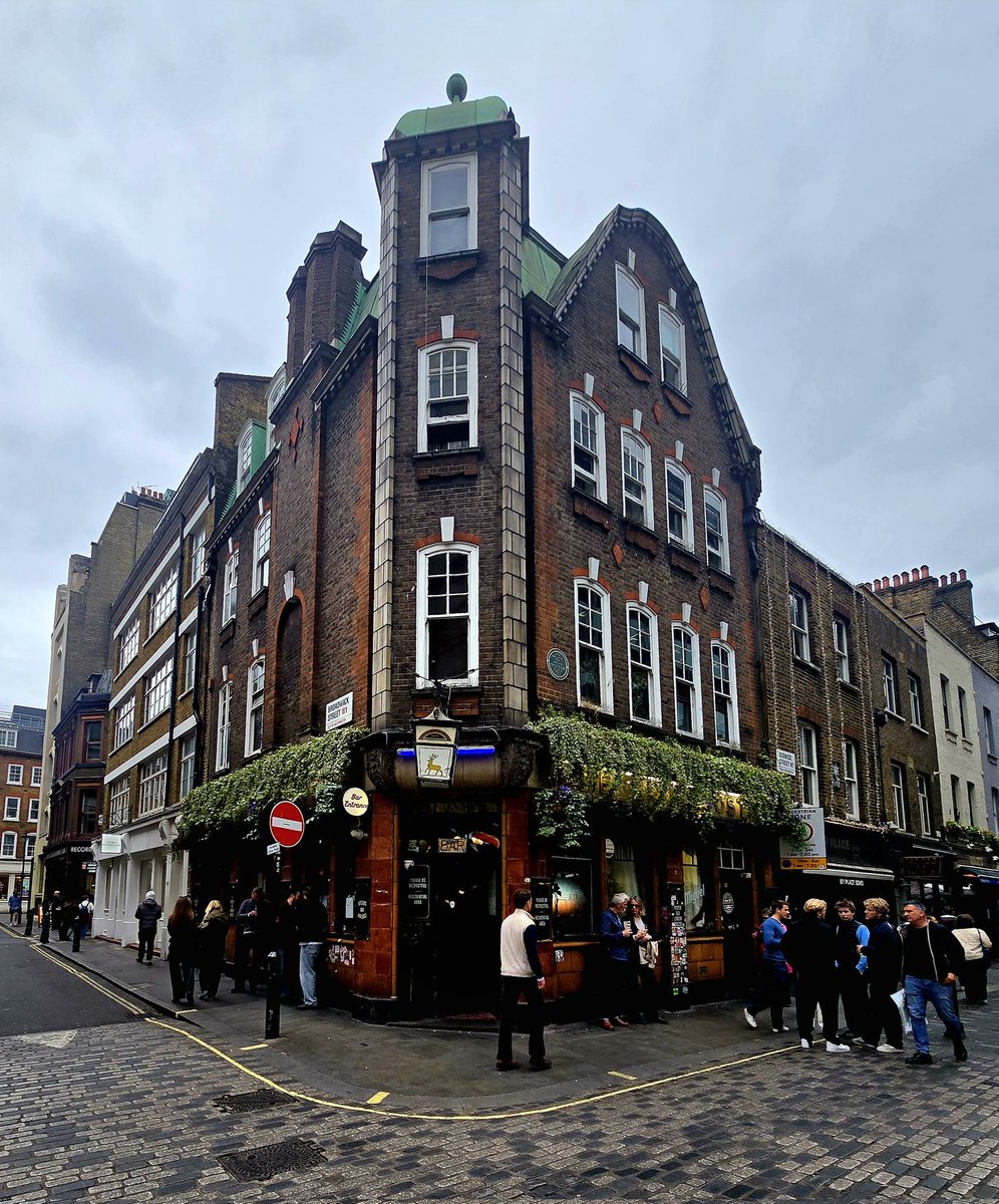 Chelsea Dan tweet media