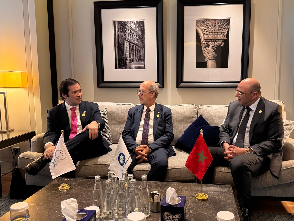 Parlamento MERCOSUR tweet media