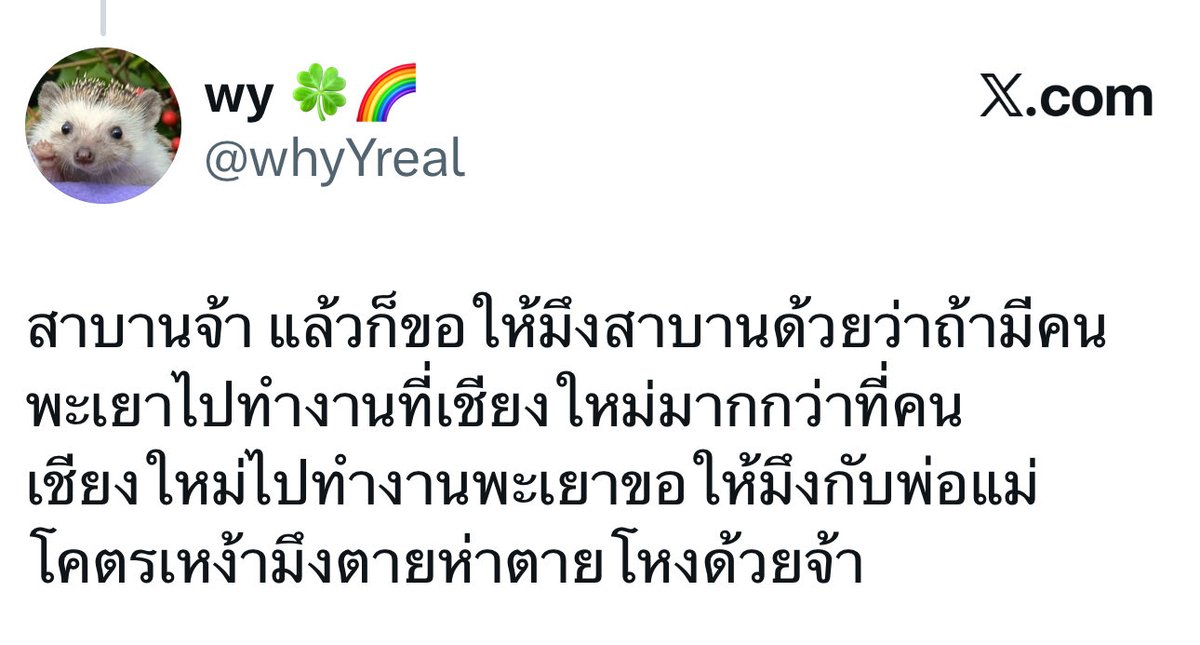 wy 🍀🌈 tweet media