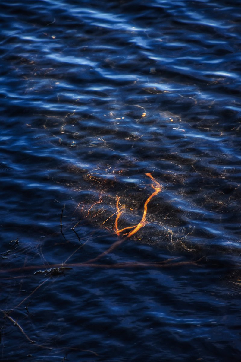 A_Sapphireh's tweet image. #lake #red #sand #beach #blue as dog's footprint
📸Aura S.