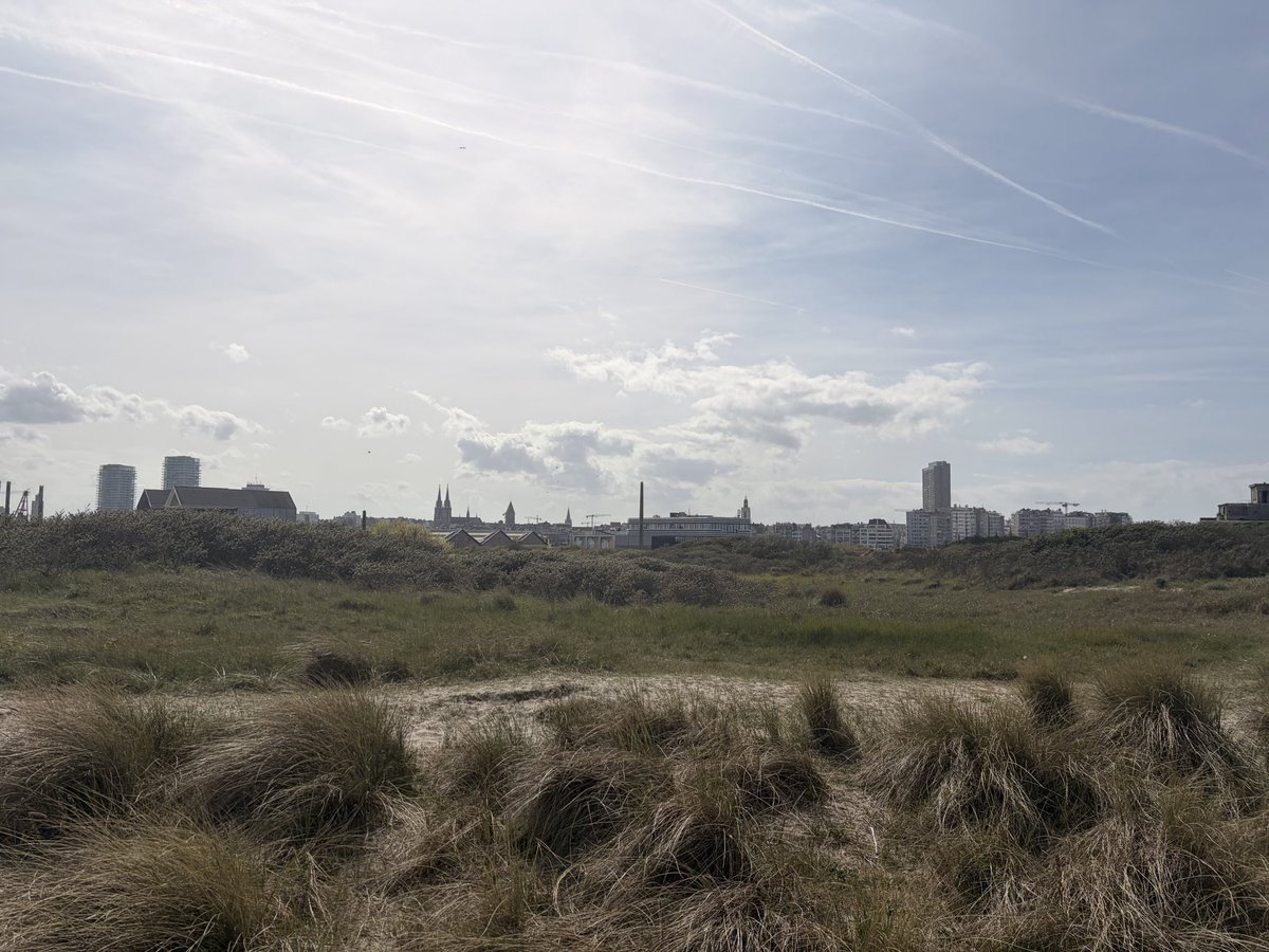 nyan kitty tweet media