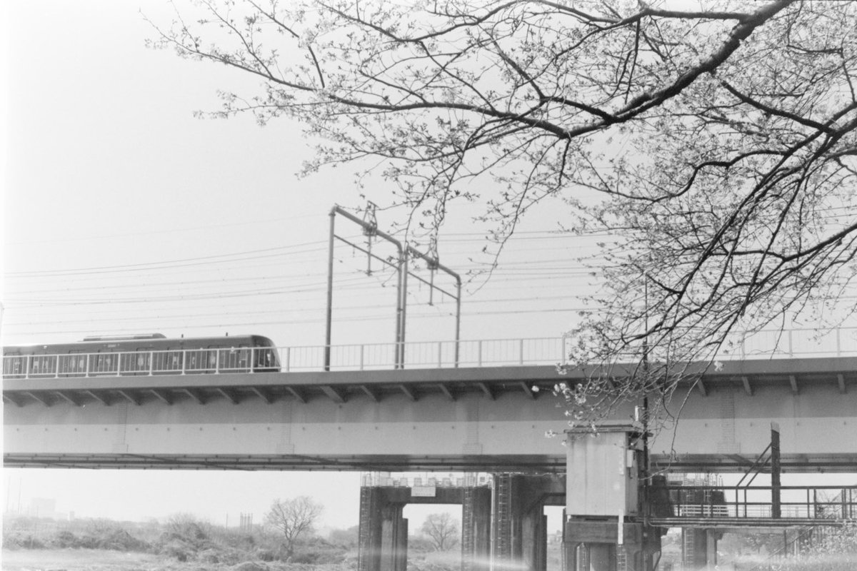 К2/ケツ山/青肌銀髪黒白目眼鏡ギザ歯サキュバスギャル委員長JK tweet media