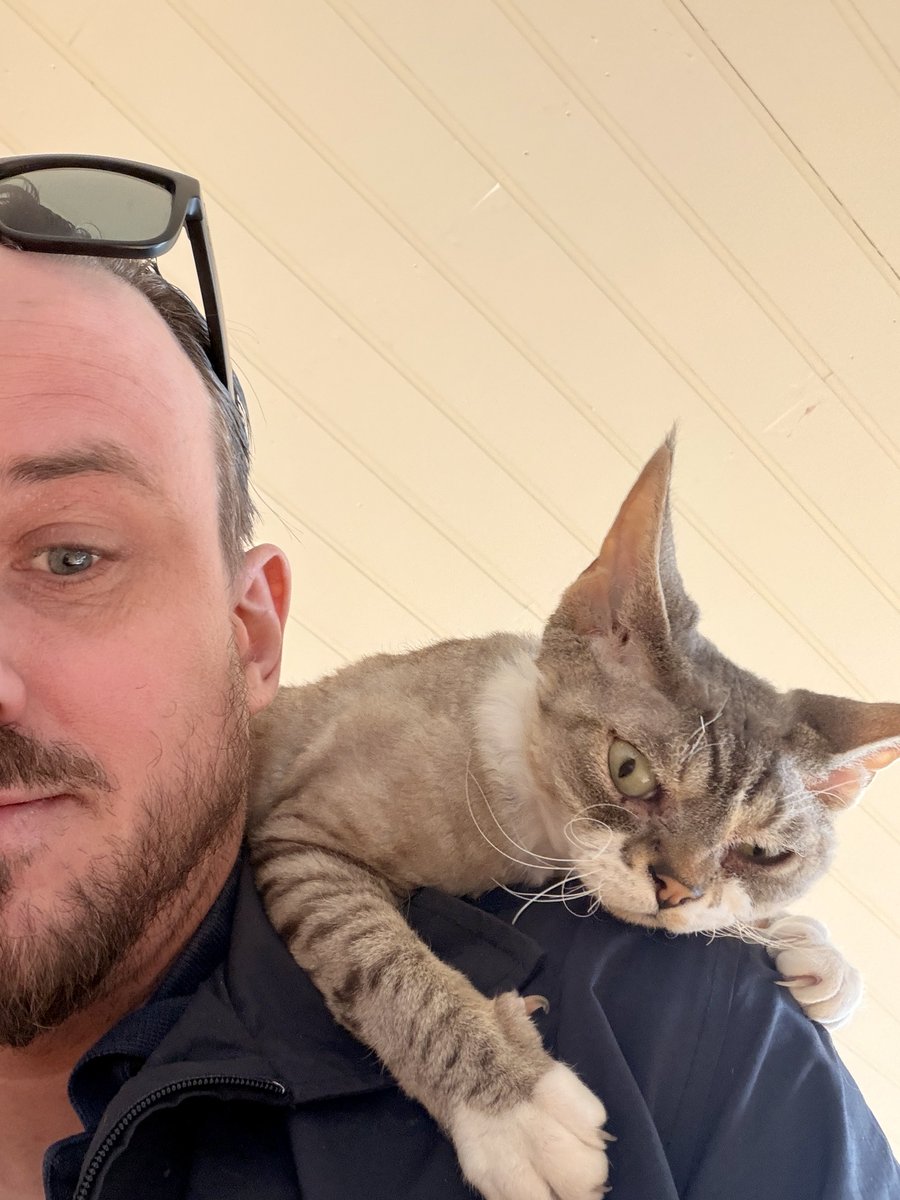 Trond Bie tweet media