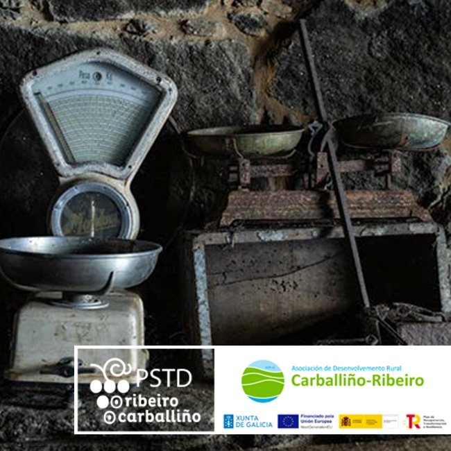 MiradasViajeras's tweet photo. Cuatro miradas, cuatro destinos únicos 🌍

#antoniopicazo nos lleva por el encanto de Znojmo 🇨🇿,
@dbigorra revive Salzburgo tras Sonrisas y lágrimas 🎶, @angel_bigorra explora Narbona y su esencia romana 🏛️, y @havismonge nos acerca a las raíces de Ribeiro-Carballiño 🍷 https://t.co/hJ57yLOypO