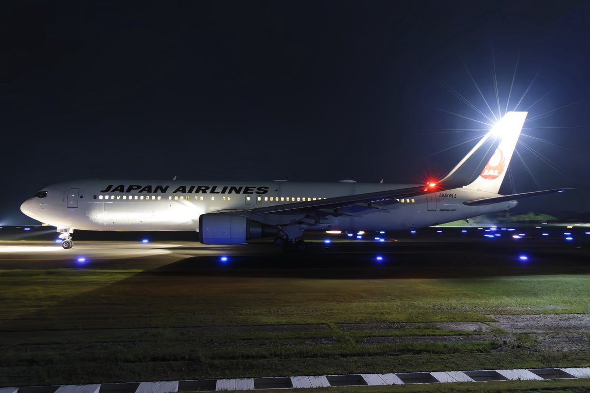 でち公 tweet media