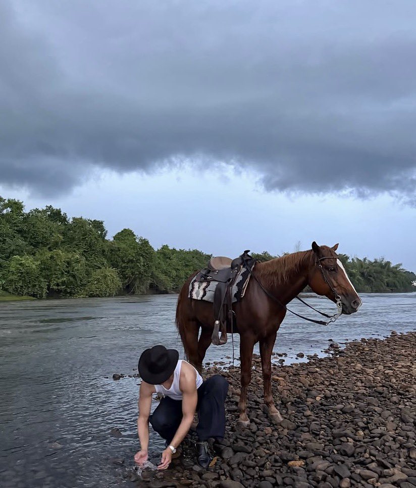 พิเหมว 🥑 tweet media