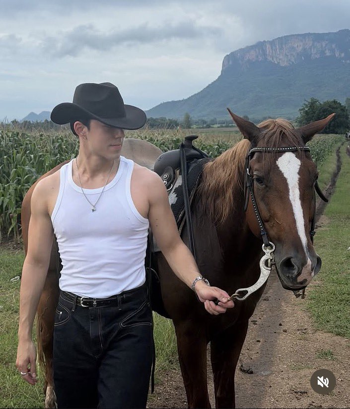 พิเหมว 🥑 tweet media