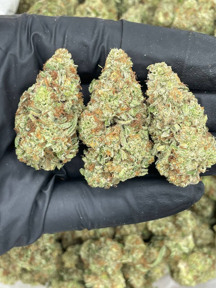 Smartweed🍃👻 tweet media