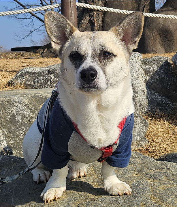 두물머리 소원 들어주는 나무 앞에서
(고기 많이 먹고 싶어요~)