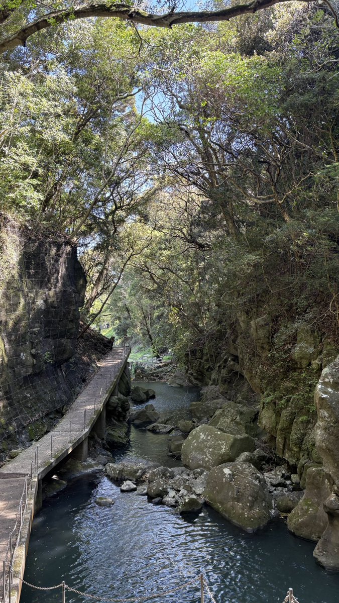 社会人2年目 tweet media