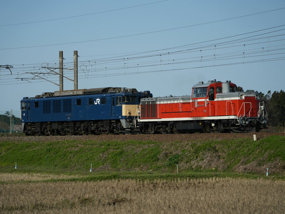 リバティ常磐 tweet media