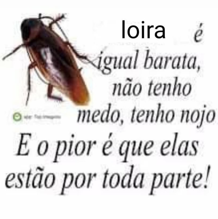 morrendo com a loira azeda aqui do escritório debochando do bts sendo belieber depois da apresentação ele no coachella 2026