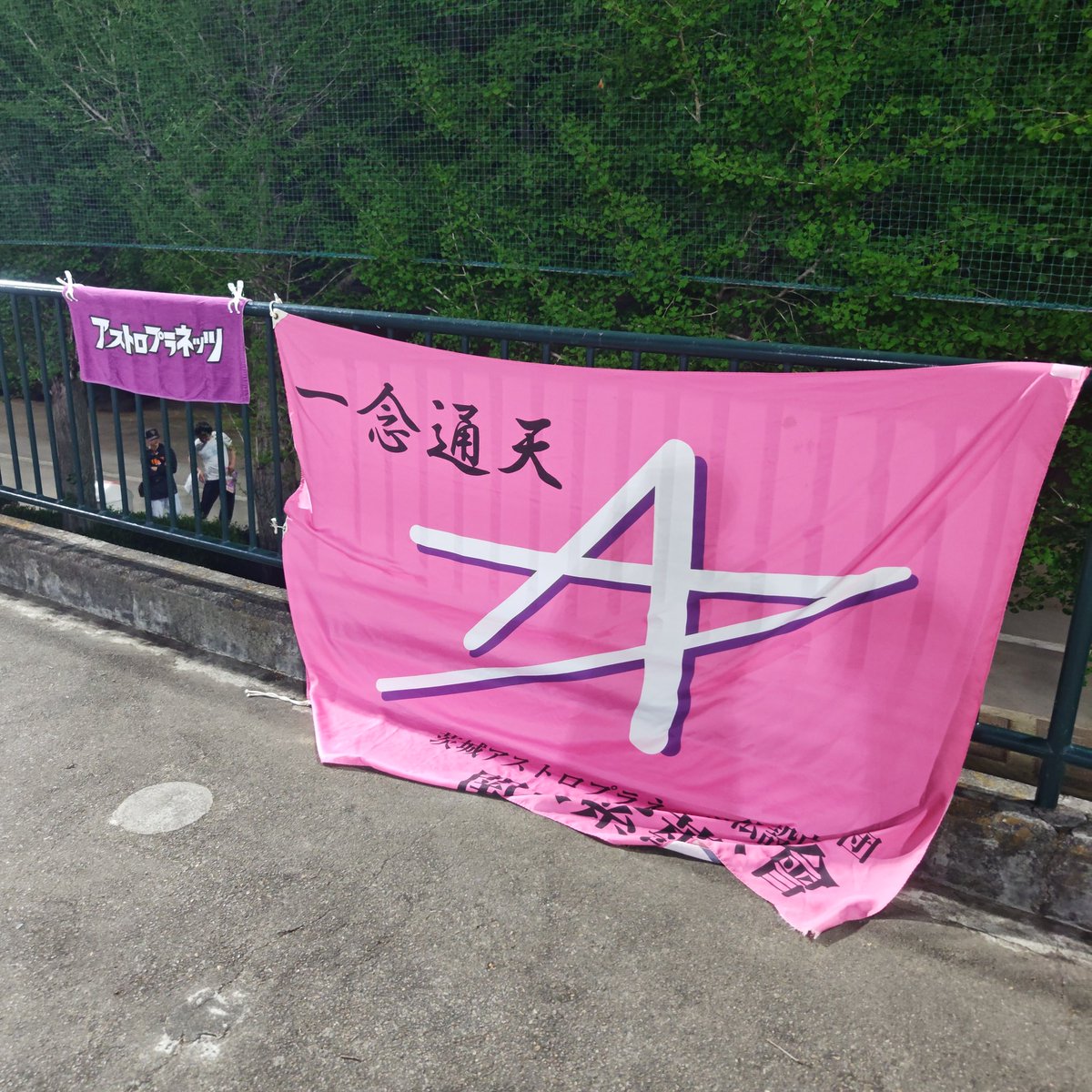 関東紫薔薇會 tweet media