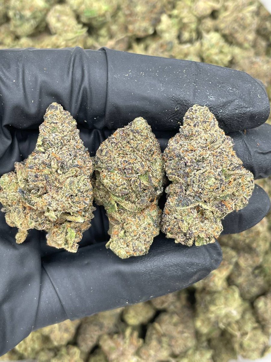 Smartweed🍃👻 tweet media