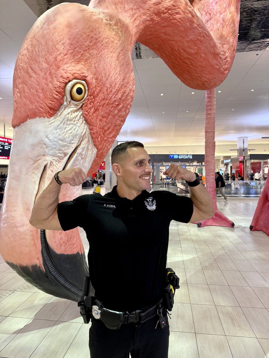 Tampa International Airport ✈️ tweet media