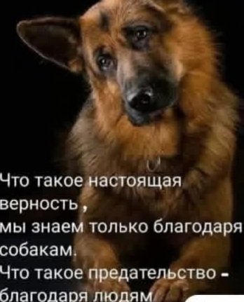 Роман Ухалов tweet media