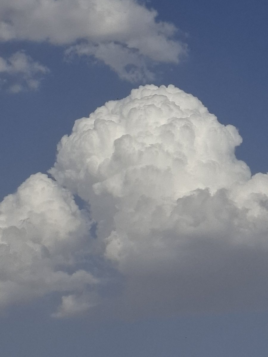 محب الغيث ⛈ tweet media