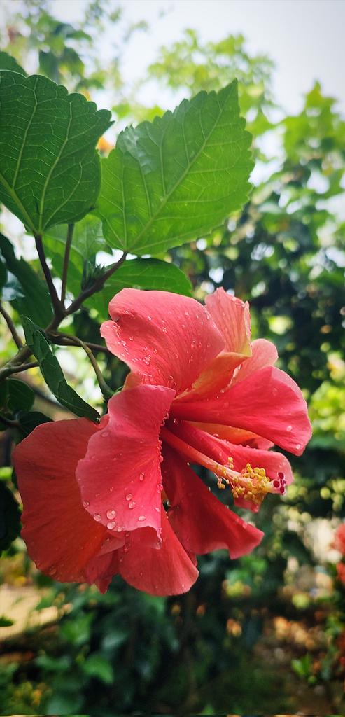 Mr Mike™ tweet media