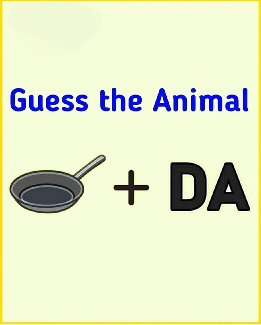 Victoria_vibes 🇺🇸 tweet media