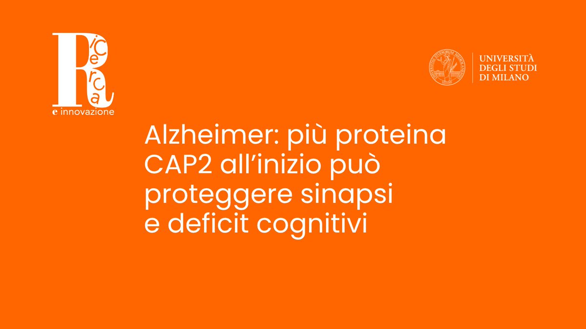 Università degli Studi di Milano tweet media