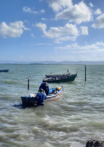 #Guantánamo Con buen paso la Unidad Empresarial de Base Caimar (Audio) radioguantanamo.icrt.cu/con-buen-paso-… #Cuba